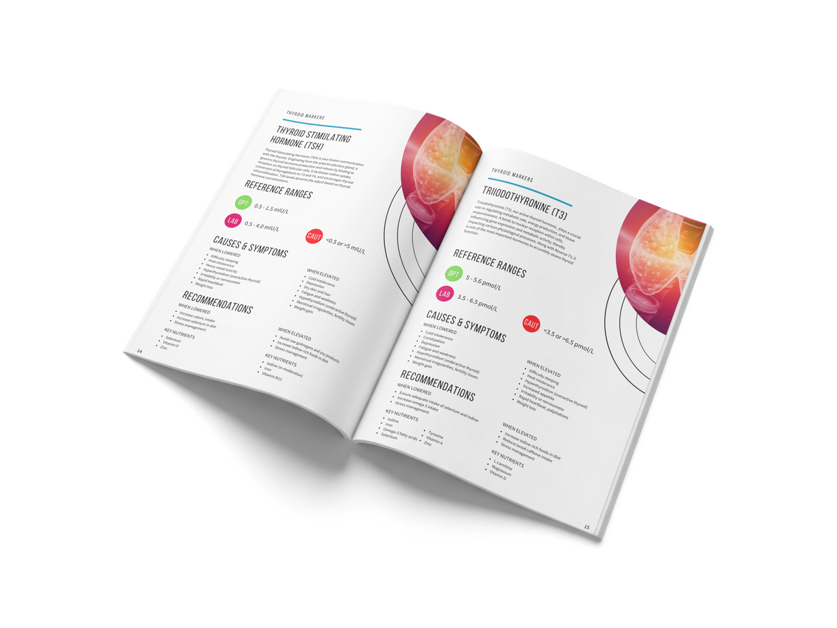 Blood Chemistry: How to Interpret Blood Tests for Optimal Health (Hard Copy)