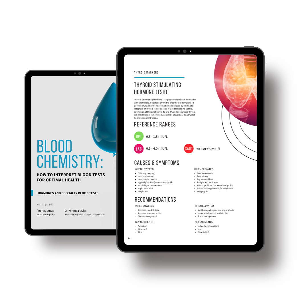 Blood Chemistry: How To Interpret Blood Tests for Optimal Health – Hormones and Specialty Tests (eBook)